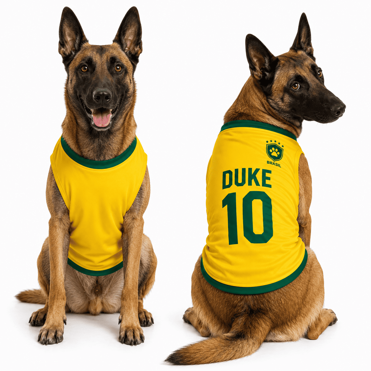 Roupinha Pet Seleção Brasilieira Oficial